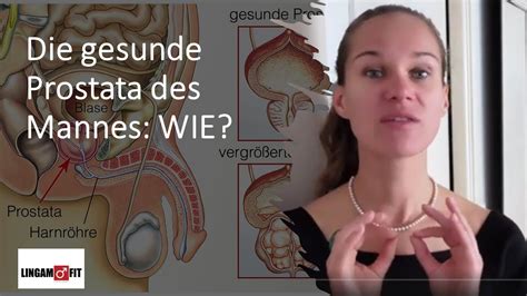 prostata bei frauen.